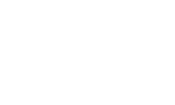 nest seekers_mexico_logo_blanco